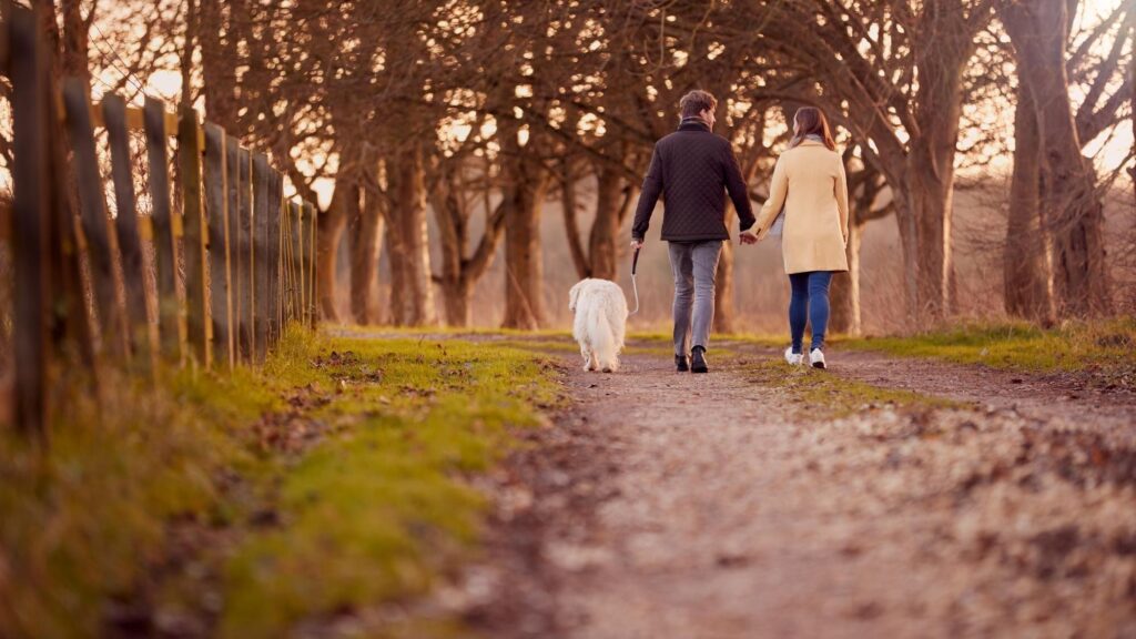 why write a will