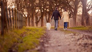 Love That Lasts: Why Write a Will?
