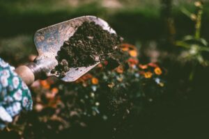 Get Your Garden Ready
